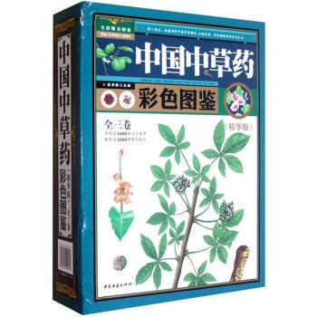 �Ї�(gu��)�в�ˎ��ɫ�D�b�����b��3��(c��)�������A�棩