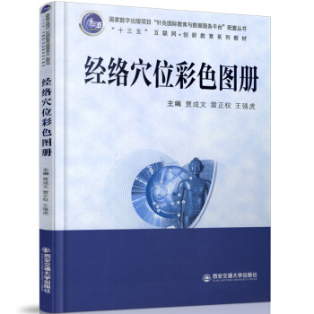 ��(j��ng)�j(lu��)Ѩλ��ɫ�D��(c��)/��ʮ���塱��(li��n)�W(w��ng)+��(chu��ng)�½���ϵ�н̲�