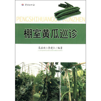 �����S��Ѳ�\