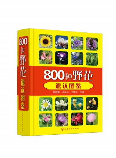 800�NҰ�����J(r��n)�D�b