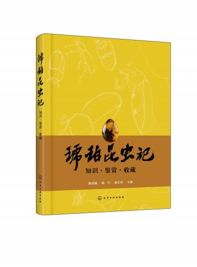 �������xӛ��֪�R���b�p���ղ�