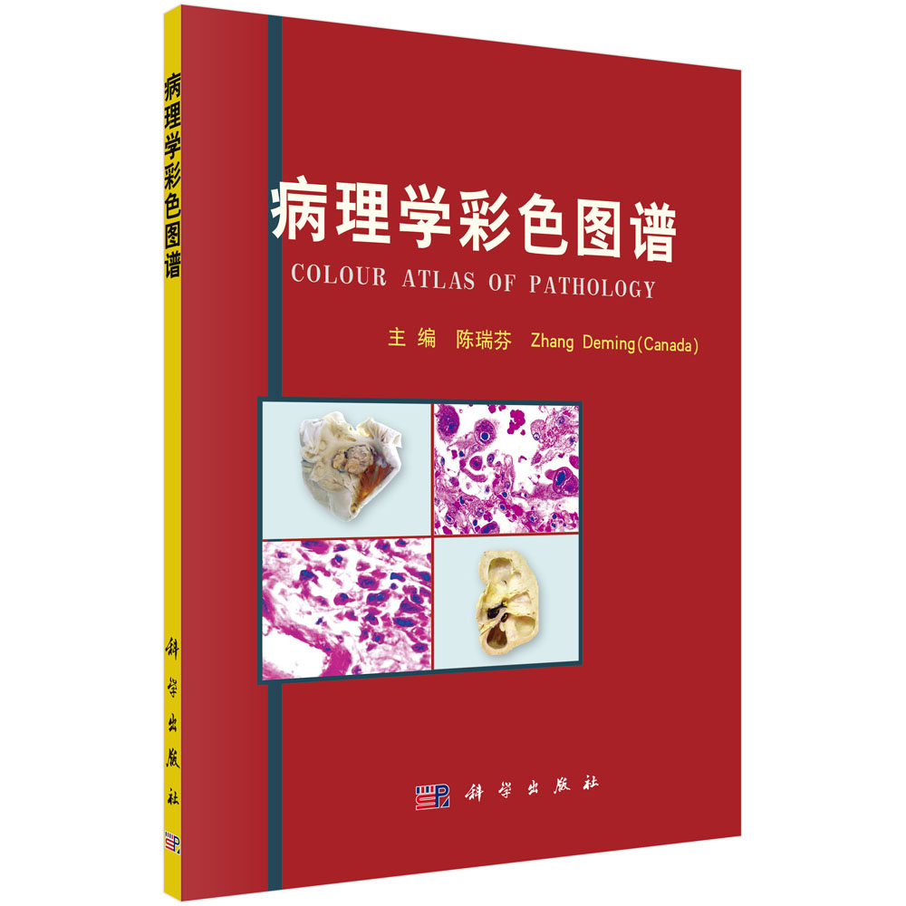 ����W(xu��)��ɫ�D�V