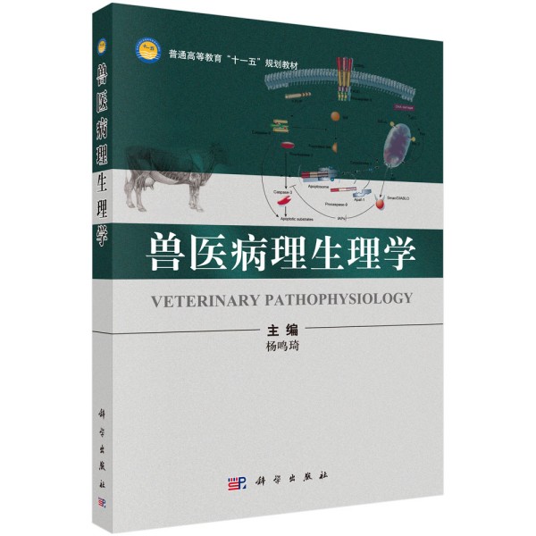 �F�t(y��)��������W(xu��)