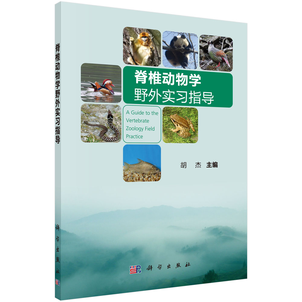 ��׵��(d��ng)��W(xu��)Ұ�⌍(sh��)��(x��)ָ��(d��o)