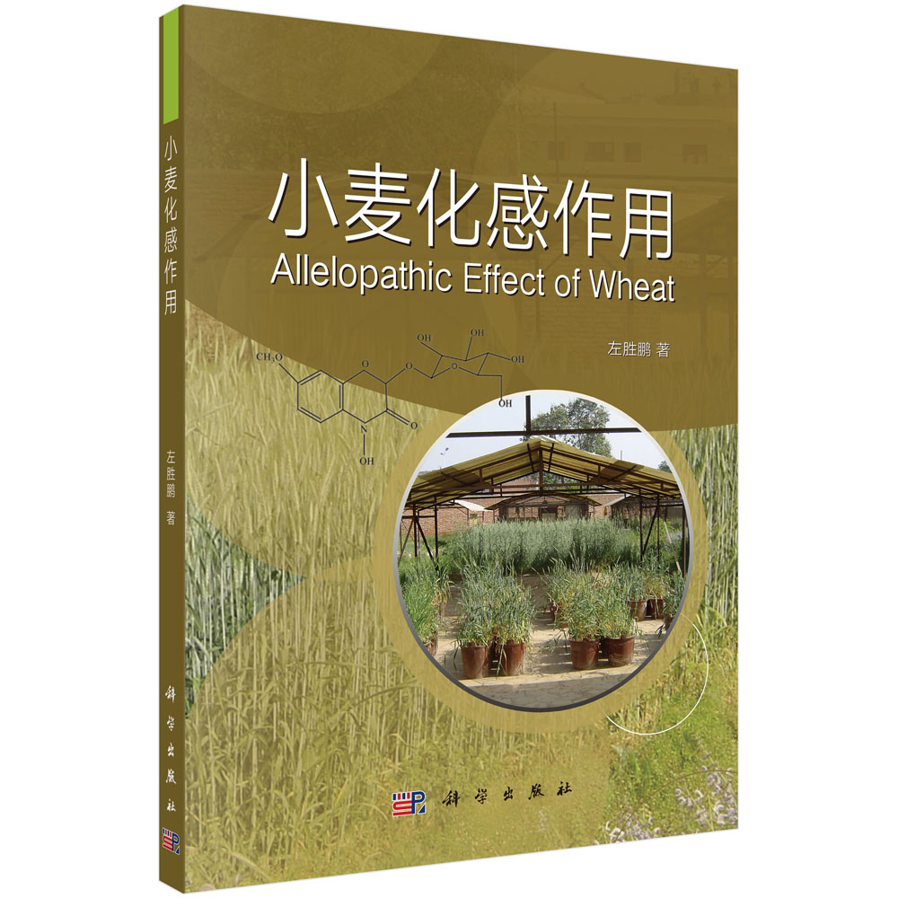 С����������