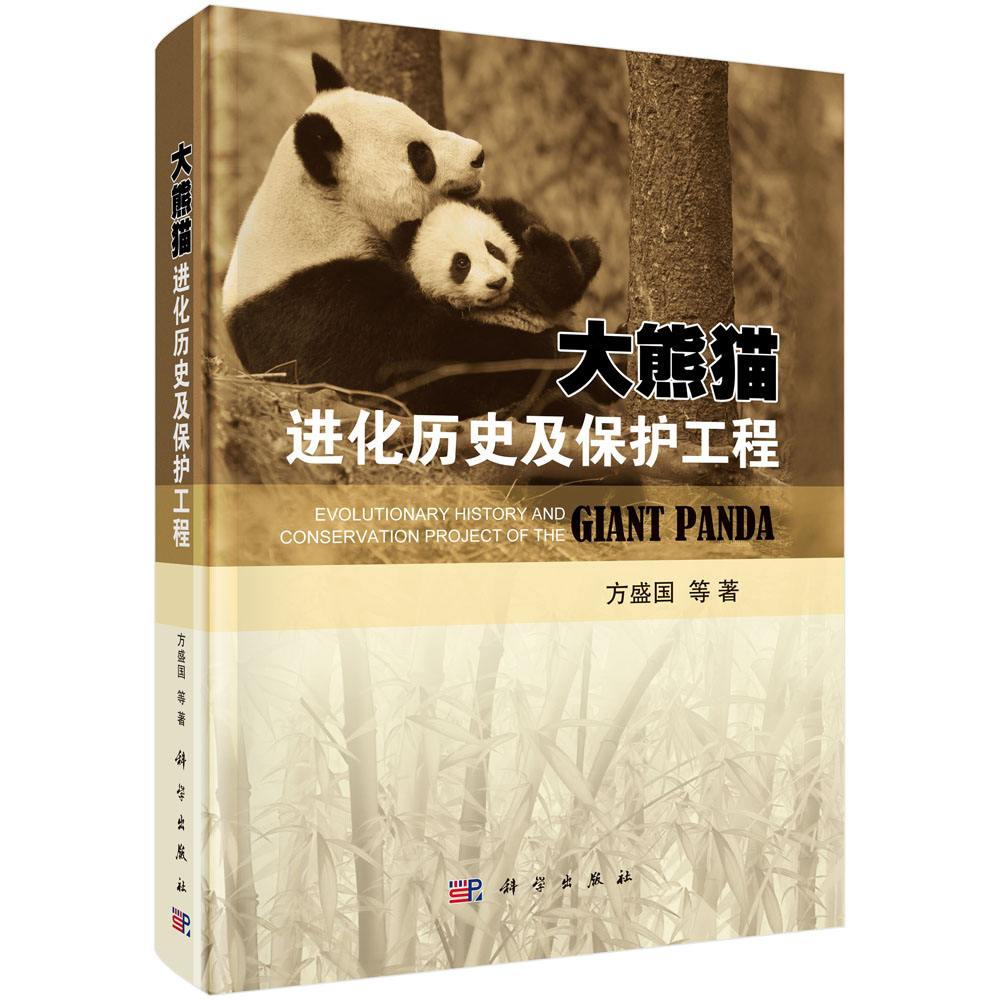 ����؈�M(j��n)���vʷ�����o(h��)����