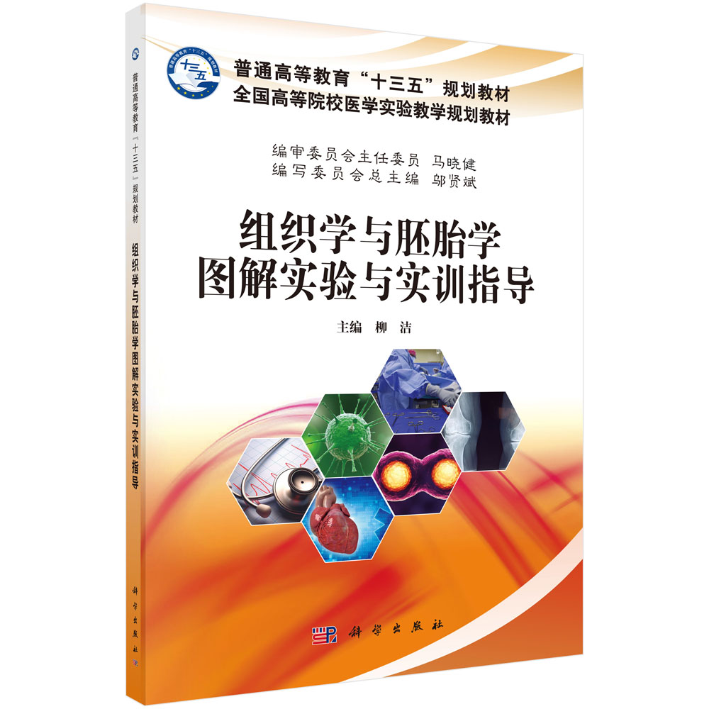 �M���W�c��̥�W�D�⌍�ָ���c��Ӗ����