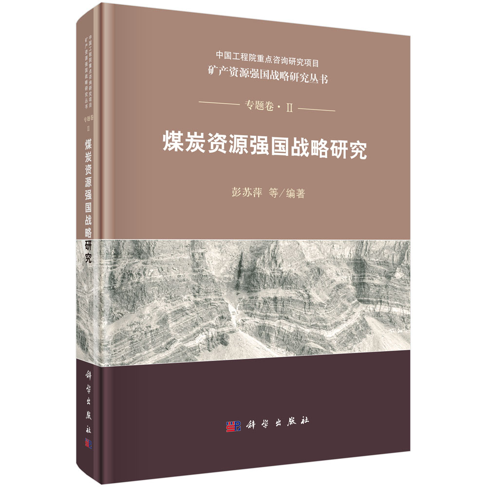 ú̿�YԴ������(zh��n)���о�