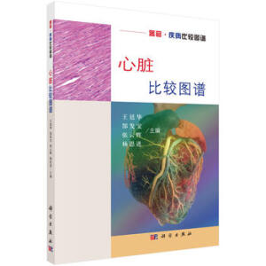 ���K���^�D�V