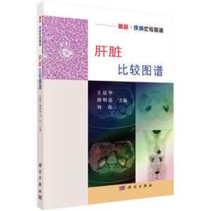 ���K���^�D�V