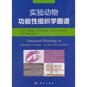 �����﹦���ԽM���W(xu��)�D�V