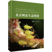 �������x���B(t��i)�D�V