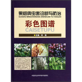 ����(sh��)���x(ch��ng)���\���c���β�ɫ�D�V