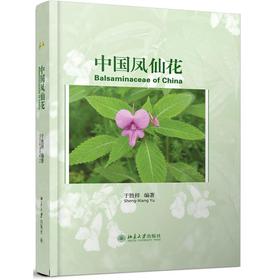 �Ї��P�ɻ�