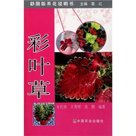 �ʈD���B(y��ng)���f���������~��