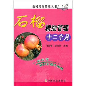 ʯ�񾫼�����ʮ������