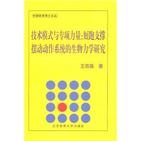 ���gģʽ�c�������������֧�Δ[�ӄ���ϵ�y(t��ng)���������W�о�