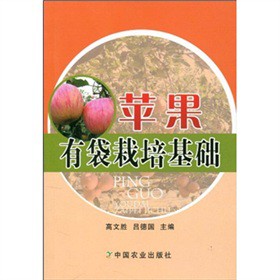 �O���д�������A(ch��)