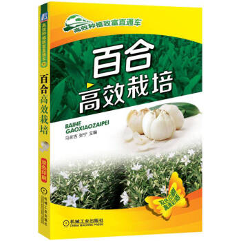 �ٺϸ�Ч����