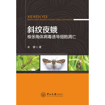 б�yҹ��˶���w�����T����������