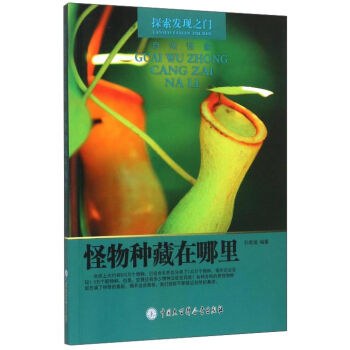 ����N��������