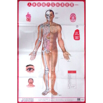 ���w��(j��ng)�j(lu��)Ѩλ��(bi��o)��(zh��n)��D�����ԣ���3����