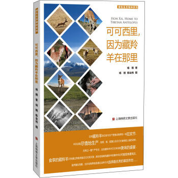 �ɿ���������������������