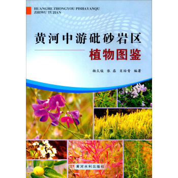 �S��ˮ�������� �S��������ɰ�r�^(q��)ֲ��D�b