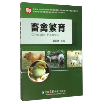 ���ݷ���