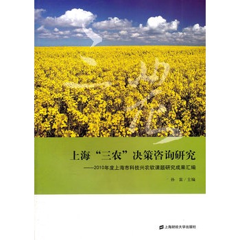 �Ϻ������r(n��ng)���Q����ԃ�о���2010����Ϻ��пƼ��d�r(n��ng)ܛ�n�}�о��ɹ��R��