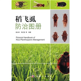 ���wʭ���ΈD��