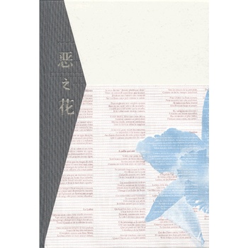 ��֮����������ذ棩