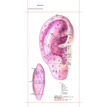 �����Ҙ�(bi��o)��(zh��n)��Ѩ��D(���˰�)