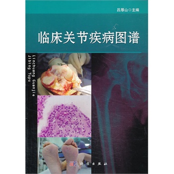 �R���P(gu��n)��(ji��)�����D�V