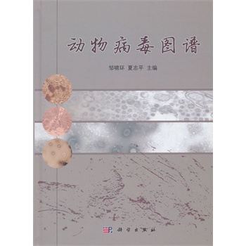 ���ﲡ���D�V