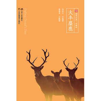 ���S��¹����̖���K���ڴ�������ɫȫ�ʣ�