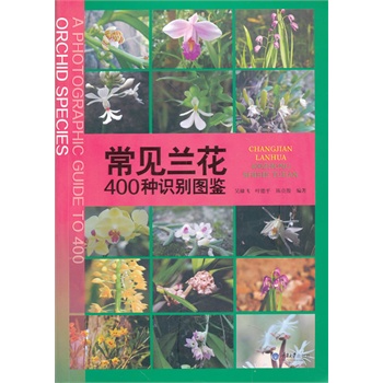 ��Ҋ�m��400�N�R�e�D�b