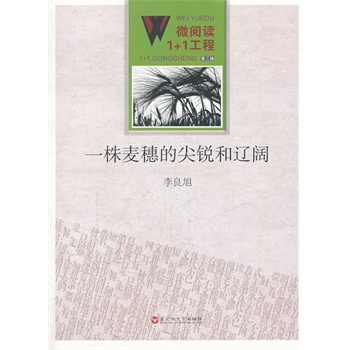 ΢��x1+1������һ������ļ��J���|�