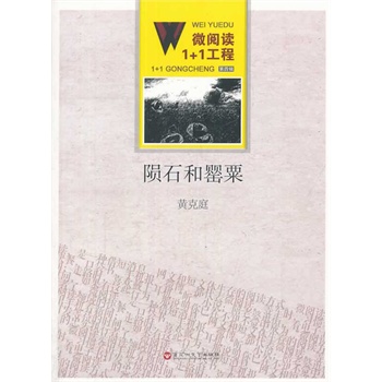 ΢��x1+1���̣��Eʯ������