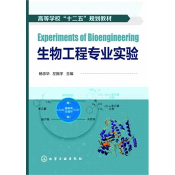 ���﹤�̌�(zhu��n)�I(y��)��(sh��)�(y��n)(�����A)