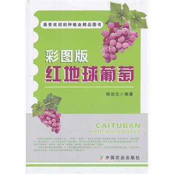 �ʈD��t��������