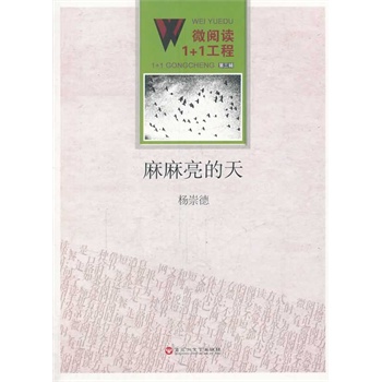 ΢��x1+1���̣�����������