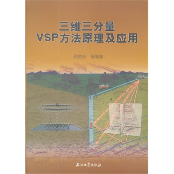 ���S������VSP����ԭ������(y��ng)��