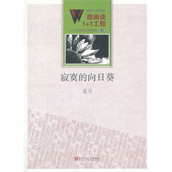 ΢��x1+1���̣���į�����տ�