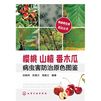 ���䲡�x�����΅���--����ɽ髷�ľ�ϲ��x������ԭɫ�D�b