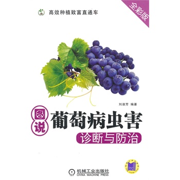 �D�f���Ѳ��x���\���c����(��Ч�Nֲ�¸�ֱͨ܇)