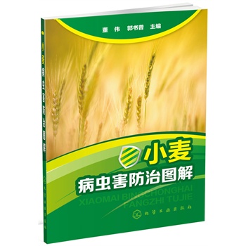 С�����x�����ΈD��