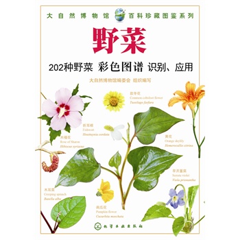 ����Ȼ�����^���ٿ���؈D�bϵ��--Ұ��