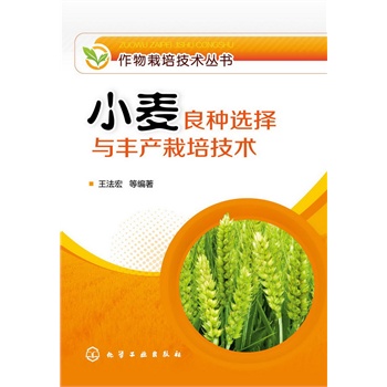 �������༼�g����--С�����N�x���c�S�a���༼�g