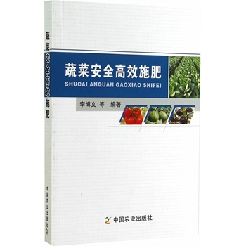 �߲˰�ȫ��Чʩ��